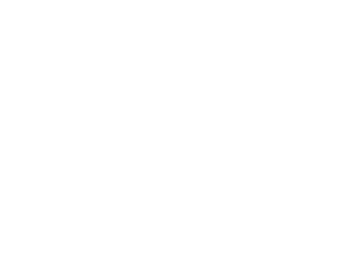 Stage Screen